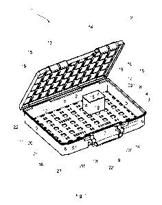 Une figure unique qui représente un dessin illustrant l'invention.